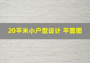 20平米小户型设计 平面图